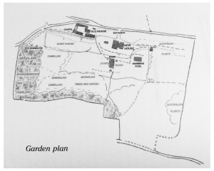 Plano_jardín