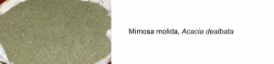 prueba_mimosa